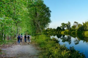Lire la suite à propos de l’article Promenades en forêt et le long des cours d’eau