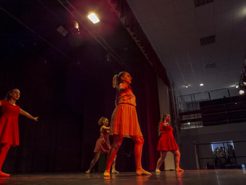 Audition-ecoles-danse-et-musique_005