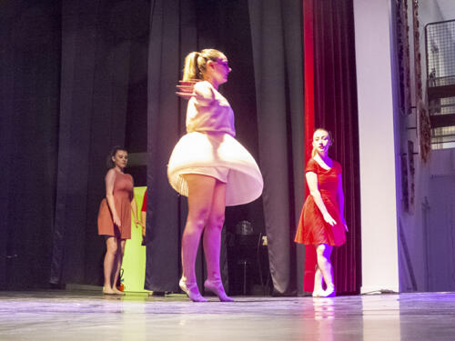 Audition-ecoles-danse-et-musique_008