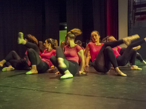 Audition-ecoles-danse-et-musique_015