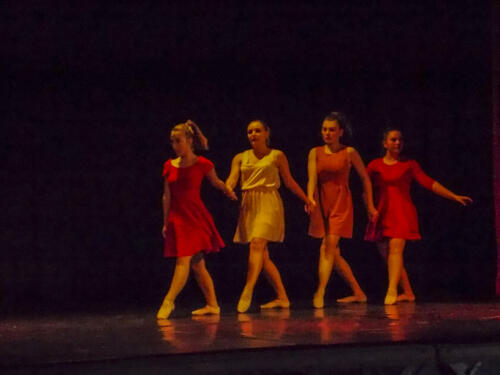 Audition-ecoles-danse-et-musique_026