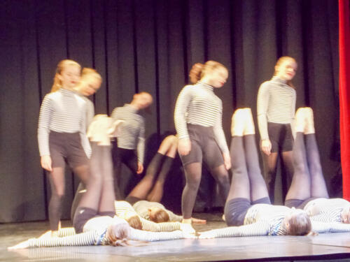 Audition-ecoles-danse-et-musique_027