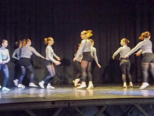 Audition-ecoles-danse-et-musique_028