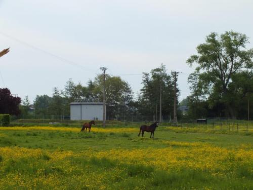 Nature-Thiantaise_006