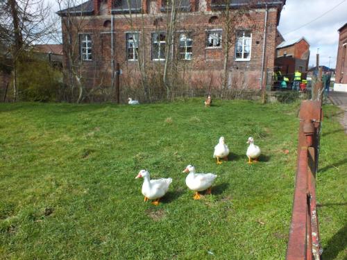 Nature-Thiantaise_018