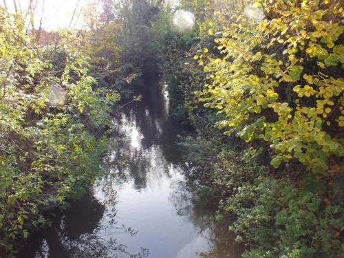 Nature-Thiantaise_022