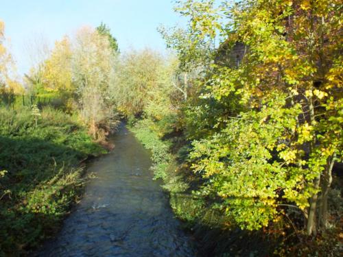 Nature-Thiantaise_023