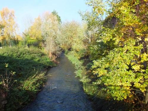 Nature-Thiantaise_024