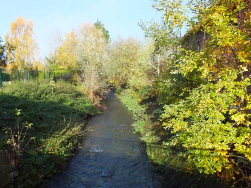 Nature-Thiantaise_025