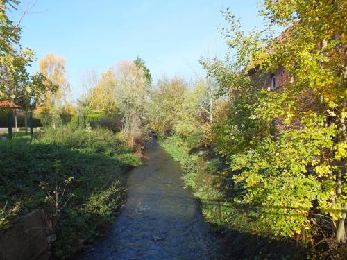 Nature-Thiantaise_026