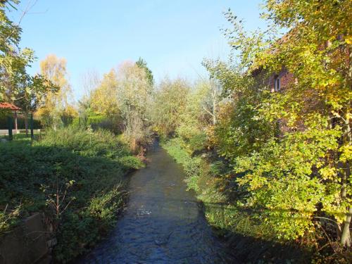 Nature-Thiantaise_027