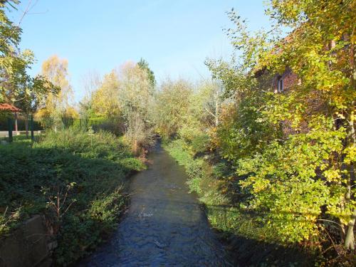 Nature-Thiantaise_028