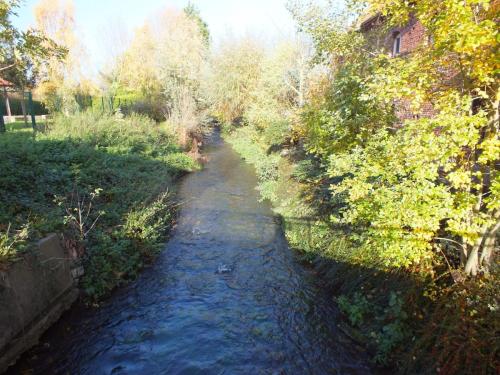 Nature-Thiantaise_029