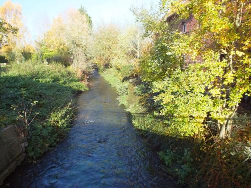 Nature-Thiantaise_030