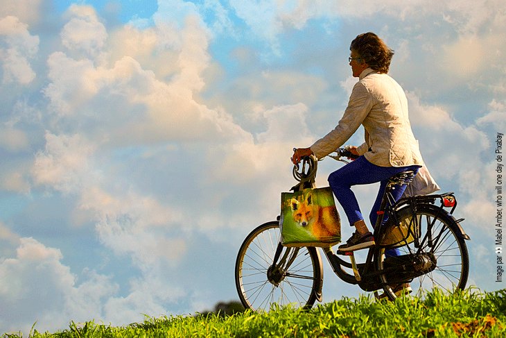 You are currently viewing Bonus Vélo