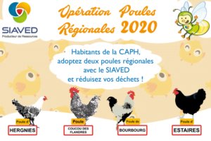 Lire la suite à propos de l’article Opération poules 2020